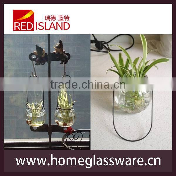 Hydroponics Pumpkin Shape Glass Hanging bottle