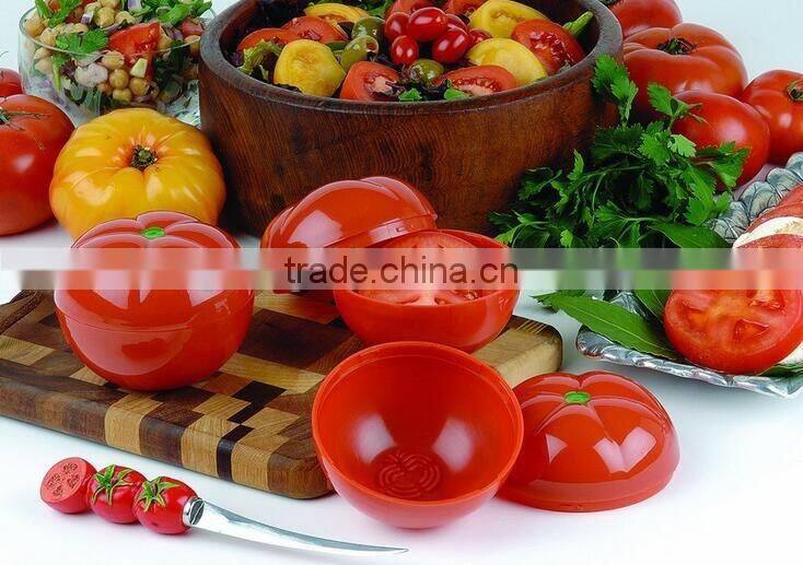 Plastic Tomato Container