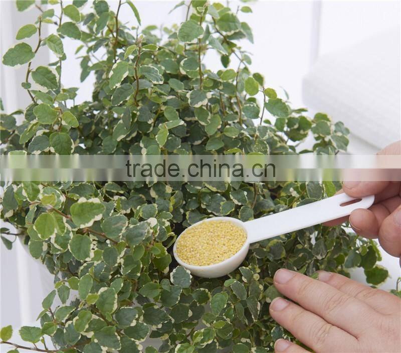 Plastic Measuring Spoon (1set with 5pcs)