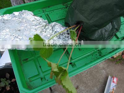 Hanging planting bags,Hanging Flower Pouches,Hanging Plant Bag