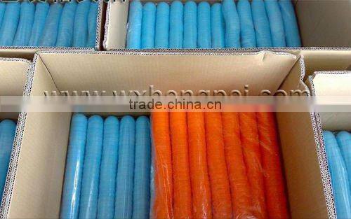 beautiful plastic egg