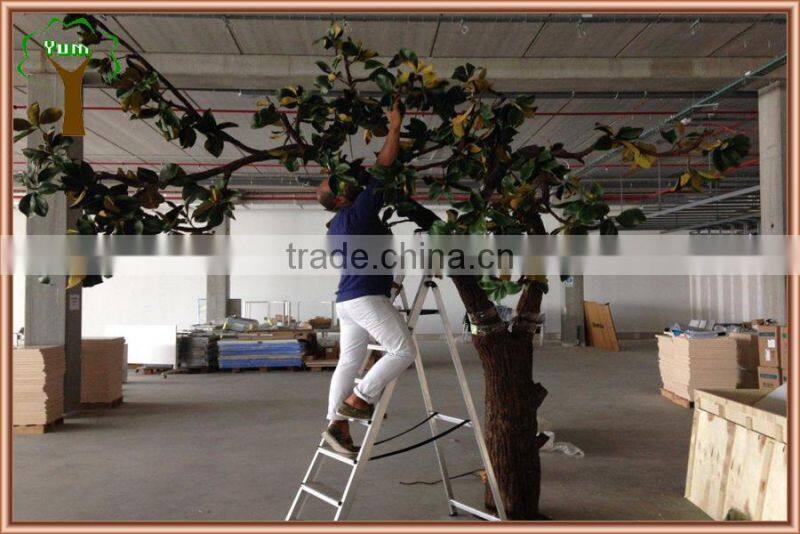 High quality artificial magnolia leaf