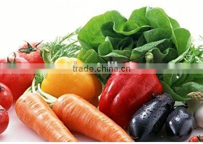 draining plastic basket for fruit and vegatables(set of 4)