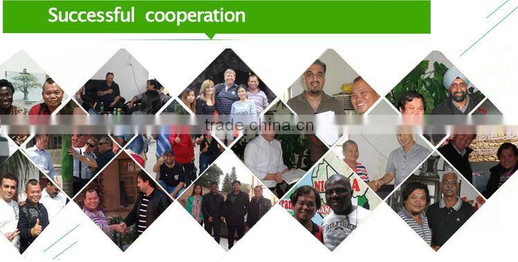 Cheap New Design Artificial Banana Tree For Sale