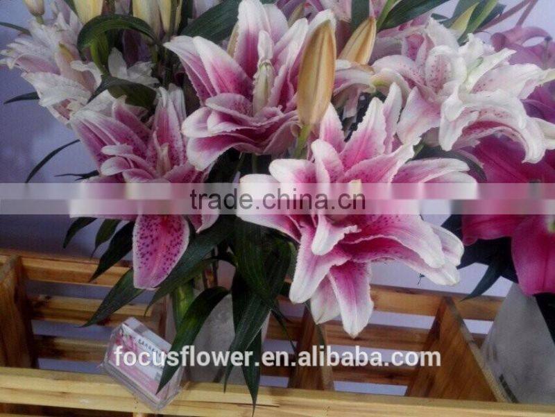 Artificial Easter Double Llily Flower