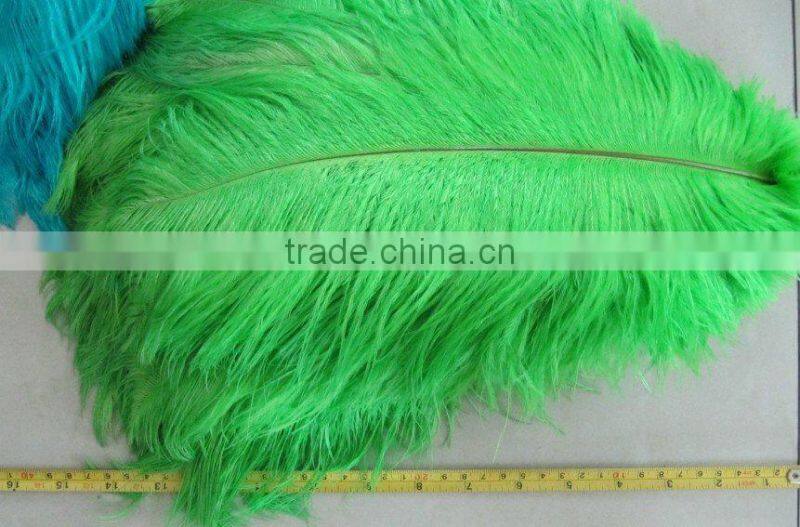 Carnival decorative large white ostrich feathers
