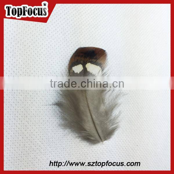hot sale dyed Wholesale Natural cheap artificial pheasant feathers prices