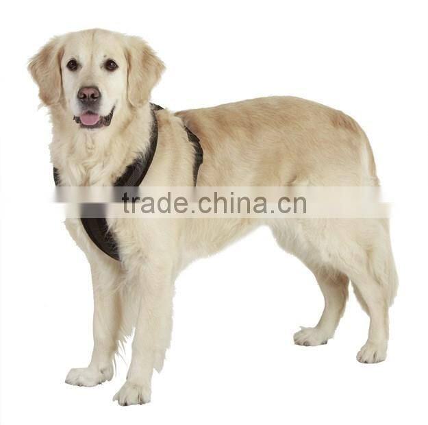 Dubaa Pet Supplies Dog Suspender for Large/Medium/Small Size Pet Dogs, Polyester Black,Blue and Red