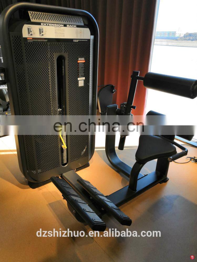 New arrival high quality gym exercise Back Extension machine commercial body building fitness equipment SES31