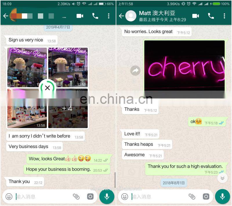 Unbreakable Acrylic frame 12V custom neon taxi sign