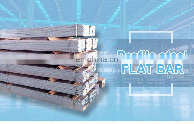 AISI ASTM hot dip galvanized steel flat bars/flat bar steel