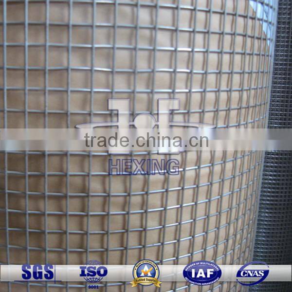 Welded Wire Mesh Square Wire Mesh/Fence Wire Mesh
