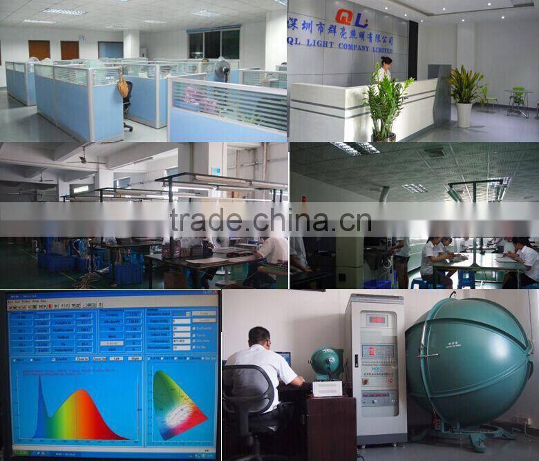 CE RoHS UL listed CRI90 SMD3020 led strip light IP20 IP67 70LED/m 126LED/m DC24V Constant Current Version led light strip