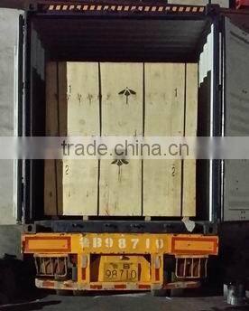 CA MJ6132TYO Precise Wood Cutting Panel Saw