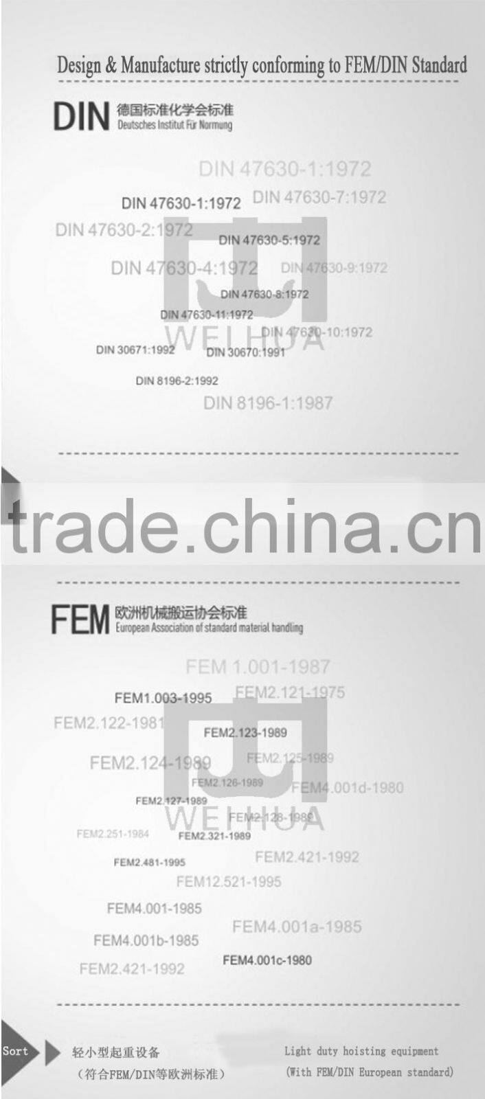 WEIHUA Electric Hoist Crane 5 Ton