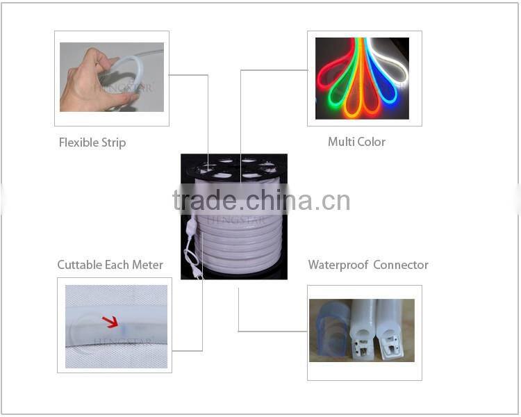 5M 300LEDs 24V 12V LED Neon Flex Digital Programmable RGB Neon LED Strip