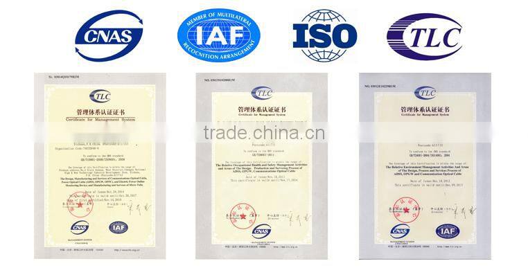 SMI Special Equipment Plastic optical fiber jumper cable