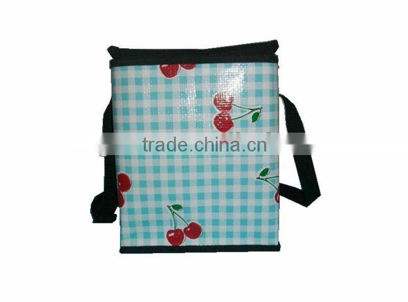 EPE laminated foan cooler bags