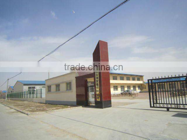 galvanized hexagonal decorative chicken wire mesh