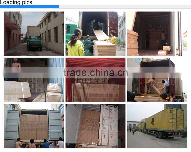 Made in china nice quality doors with blind