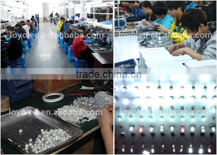 Factory wholesale good quality 19*5050 smd Canbus led car lights