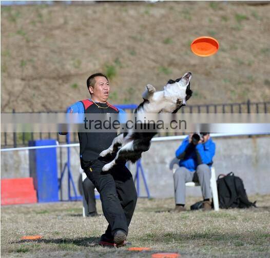 Professional Ultimate Frisbee Flying Disc flying saucer outdoor