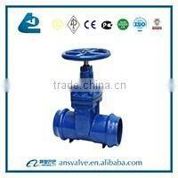 Plastic Strainer Valve