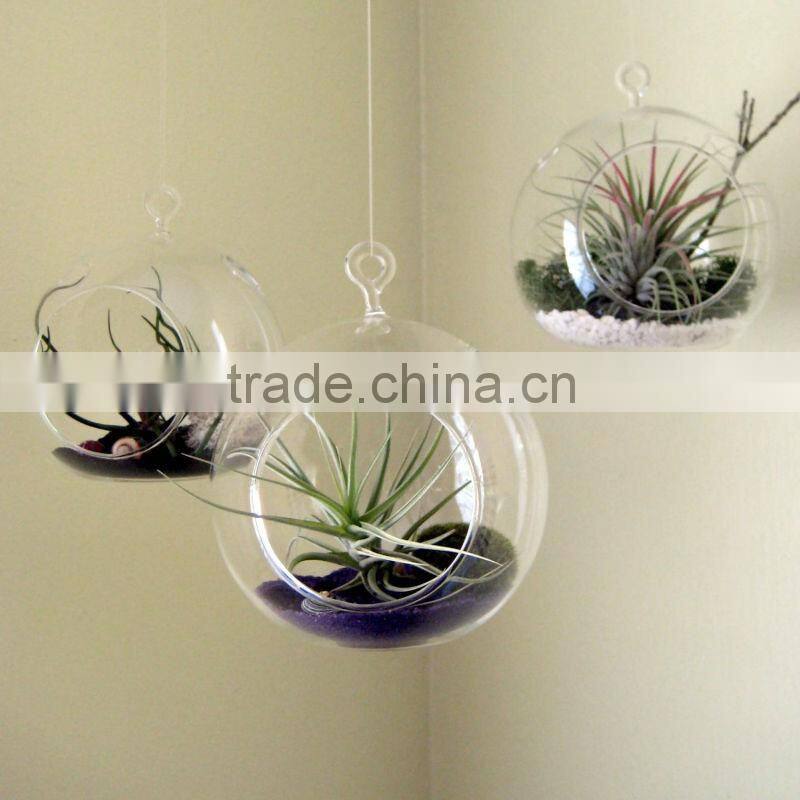 hot sale decorative glass ball vase in garden or home
