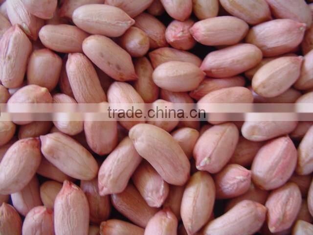 crop new natural red skin peanut kernel natural type 40-50