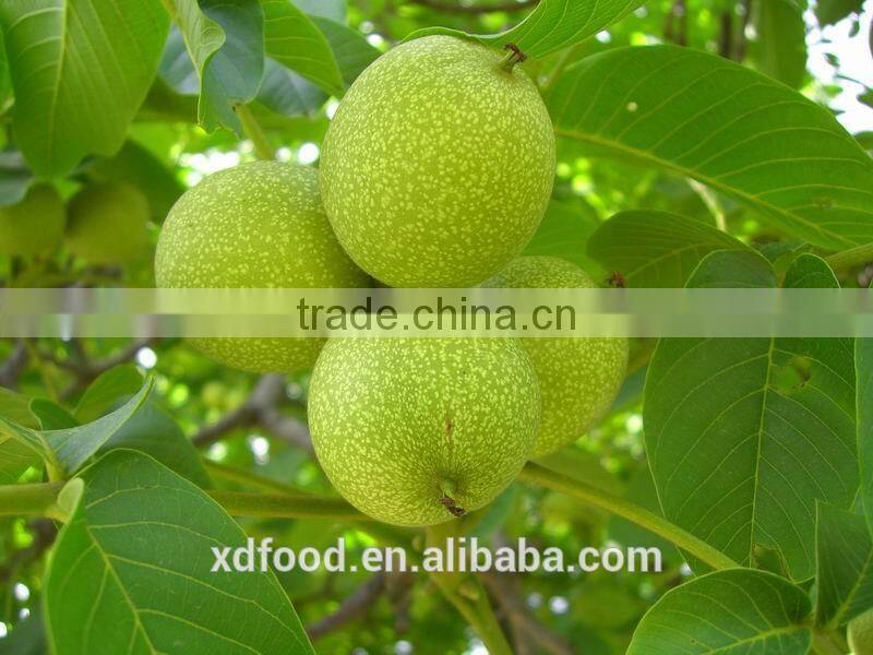 Shanxi Fenyang Mayifang Thin skin Walnuts in Shell,crushed walnut shells,black walnut shells,