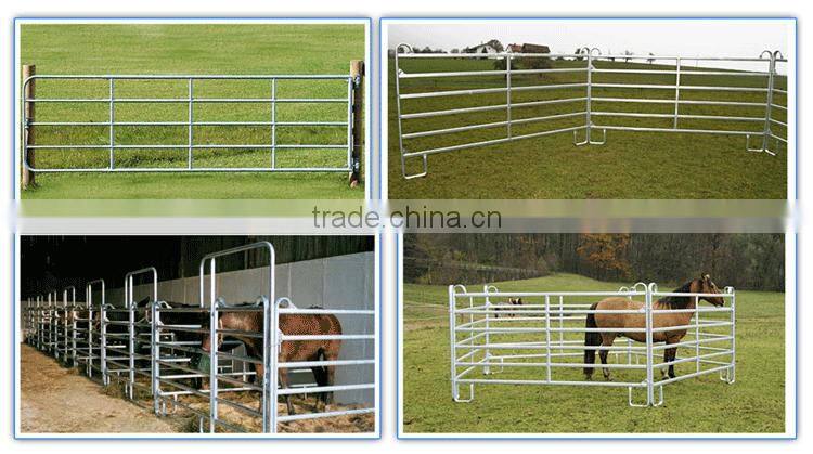 Cattle Fencing Panels