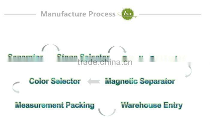 JSX Types Of Size500-550 Canned Color Selected Black Beans For Sale