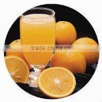 Orange Juice Squeezer Machine - 50-65 KG/H, TT-J113