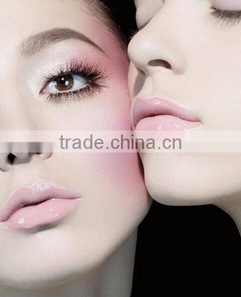 Makeup Blusher OEM Waterproof Professional 6 Color Makeup Blusher