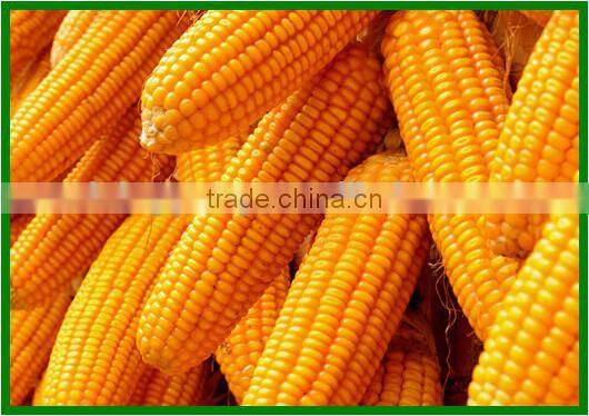 agricultural machinery corn stripping machine for sale