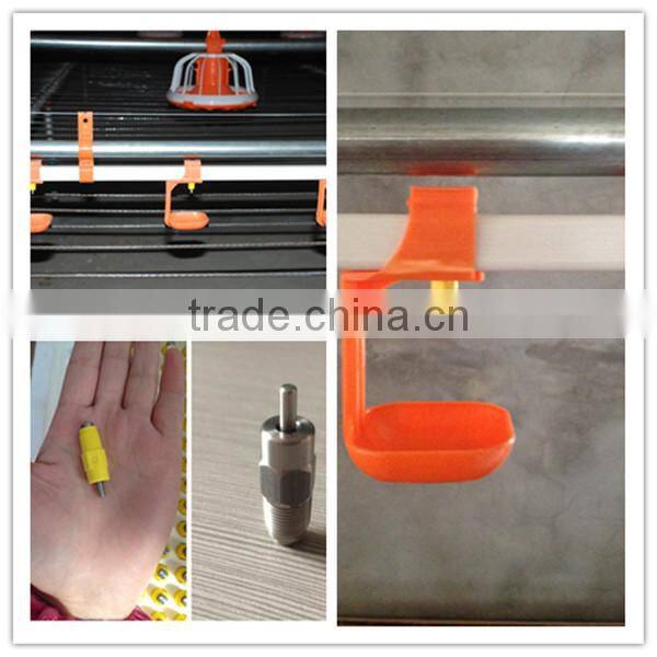 Chicken farm poultry equipment for sale