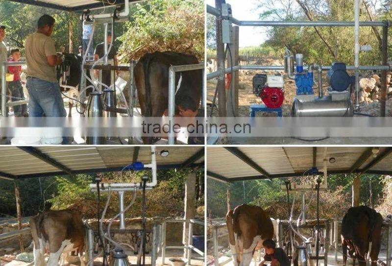 Small Farm Pail Bucket Milking Equipment