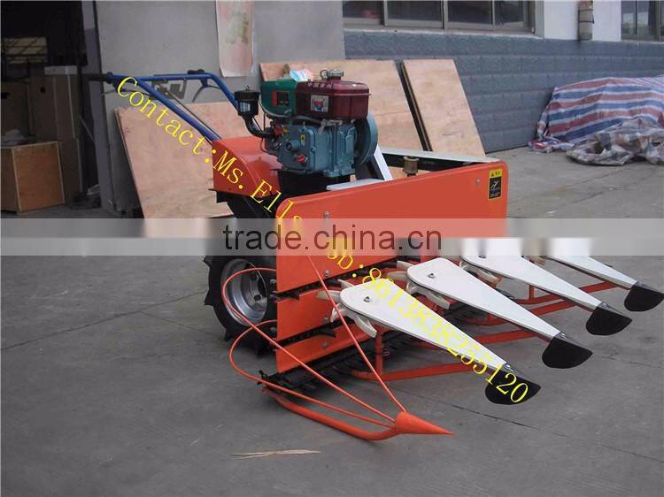 Farm using mini wheat crop cutting machine in Veitnam