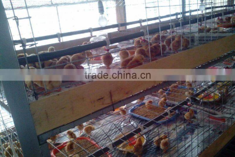 Stainless steel and plastic factory direct supply commercial poultry nipple drinkers for sale HJ-DN003