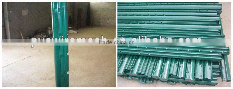 High Quality hot sale galvanized then powder coated double wire fence , double wire fence