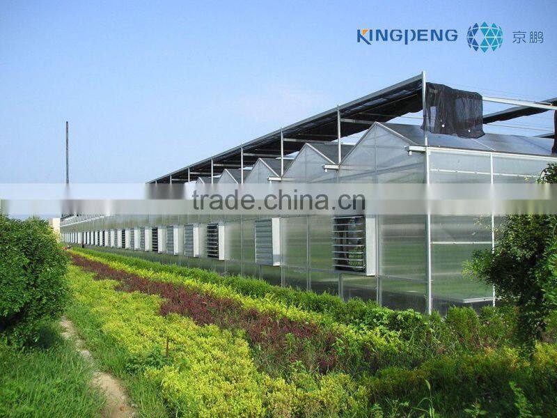 Tomato Growing Greenhouse