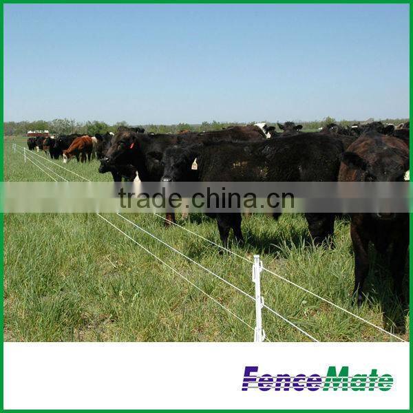 Electric Fence Wire