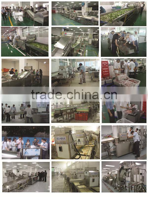Taiwan Teemyeah VegetableWashing Machine Proccessing Line