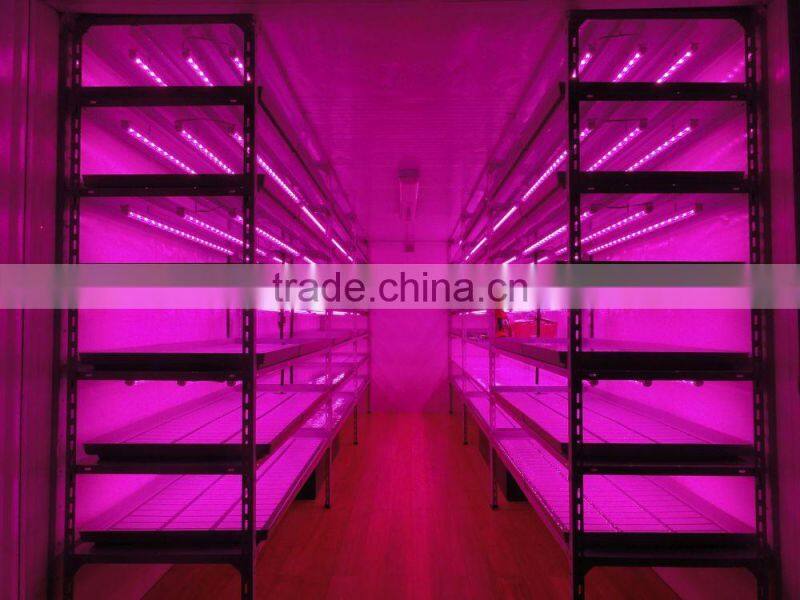 10W led grow light tube T8 Bridgelux chip for plant tissue culture labs in multiple color ratio