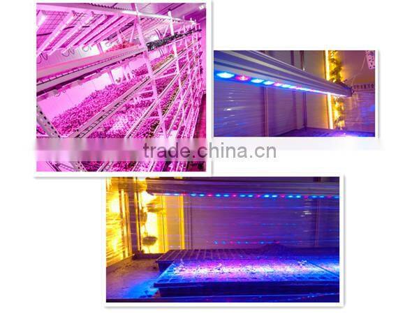 Deep water culture hydroponics system aquatic plant grow light,waterproof grow bar