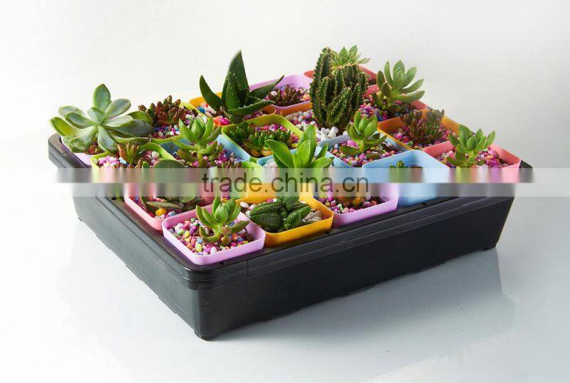 Plastic Raised Garden Bed