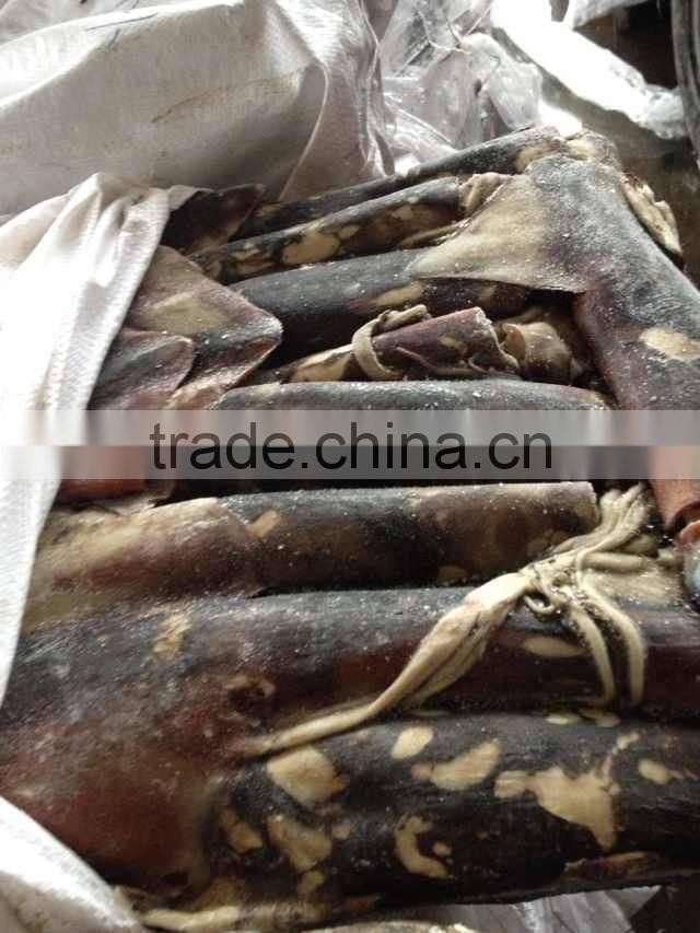 Frozen peru squid