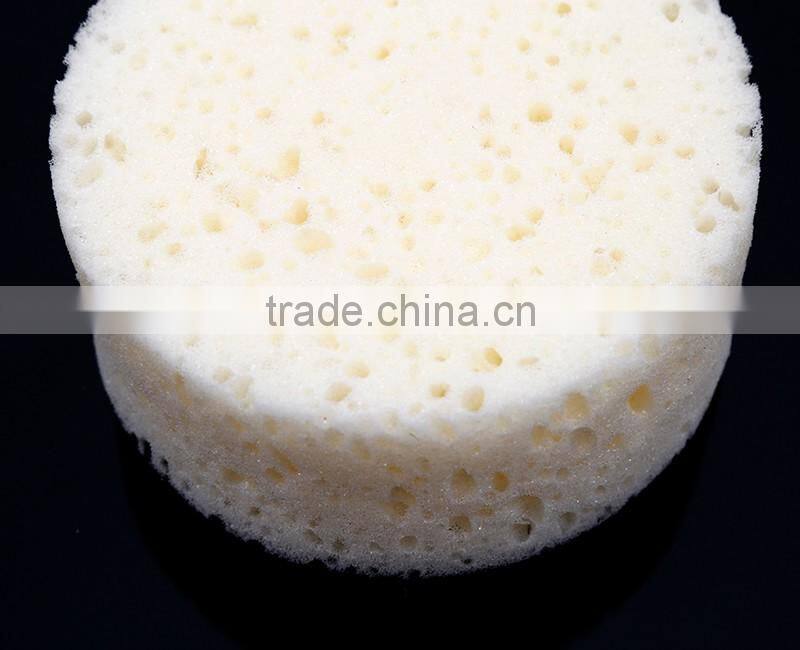 CDZ01-Cylinder Shape Clearning sponge