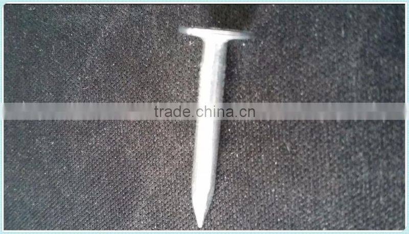 coil roofing,factory direct sale nails