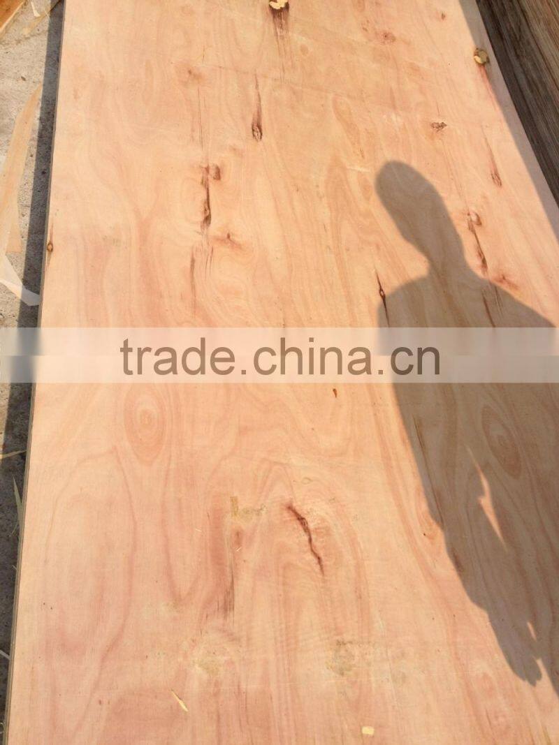 PACKING PLYWOOD , BC GRADE- CHEAP PRICE (3mm-18mm)